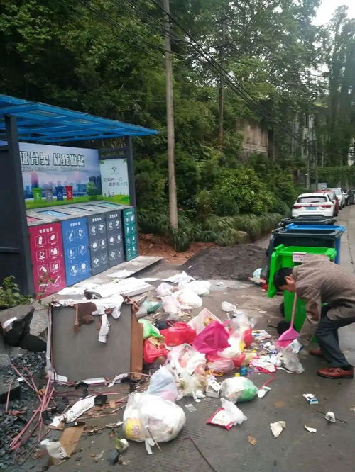 桐廬城區(qū)生活小區(qū)垃圾分類現(xiàn)狀與城市生活垃圾經(jīng)營服務探析